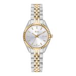 JCOU QUEEN'S PETIT II Two tone Stainless Steel JU19066-2