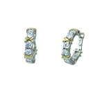 Σκουλαρίκια Freed hoops από ασήμι 925°