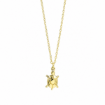 Κολιέ gold turtle από ασήμι 925°